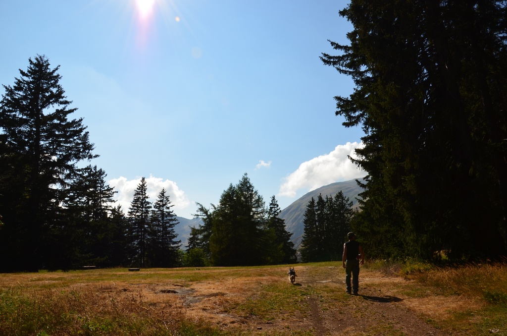 2015-07 Savoie/Jarrier/DSC_0082.JPG